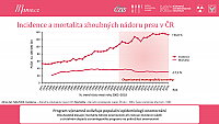 Datový audit 2021 – vybrané slajdy