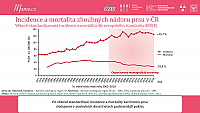 Datový audit 2021 – vybrané slajdy