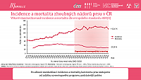 Datový audit 2022 – vybrané slajdy