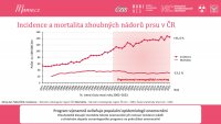 Datový audit 2024 – vybrané slajdy