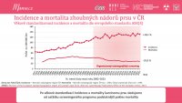 Datový audit 2024 – vybrané slajdy